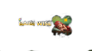 BaibiWise